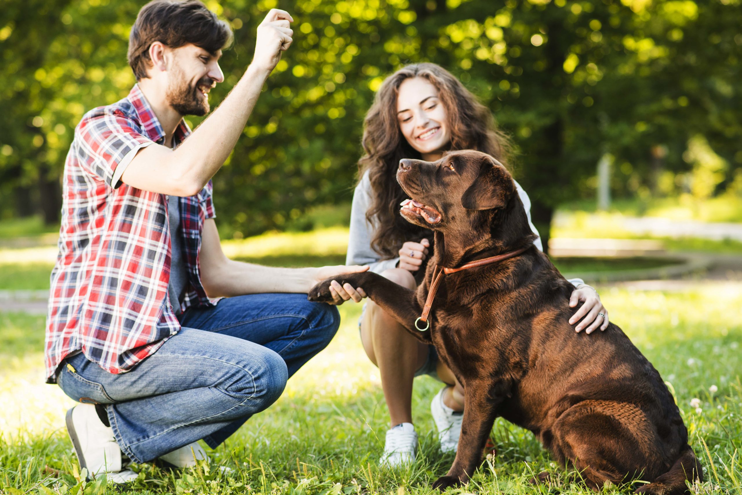 Lenguaje de los perros. 10 gestos que debes comprender