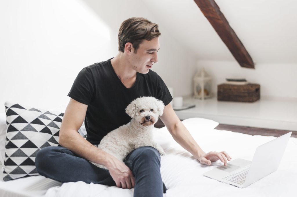Teletrabajo con perros en casa