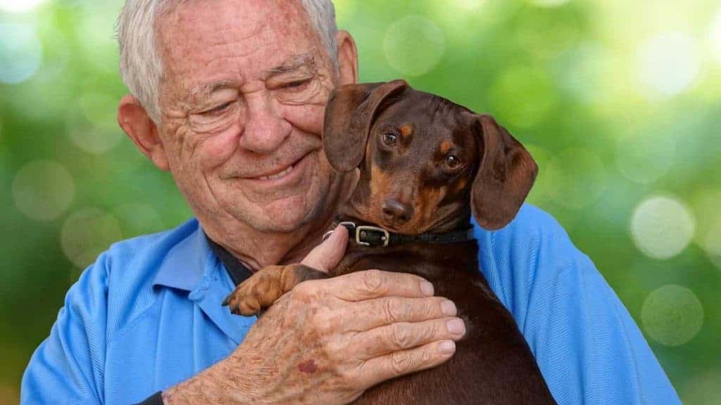 razas-perro-terapia-ancianos