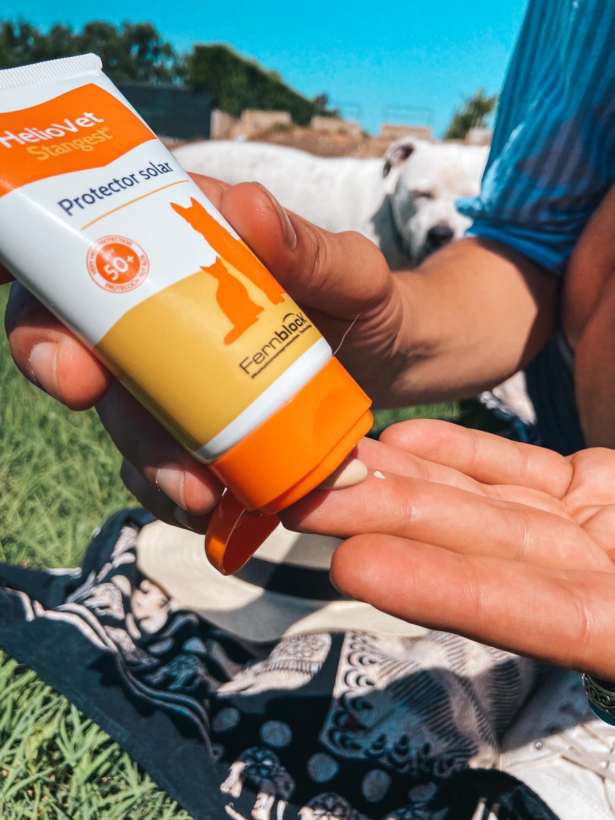 sunscreen-for-dogs