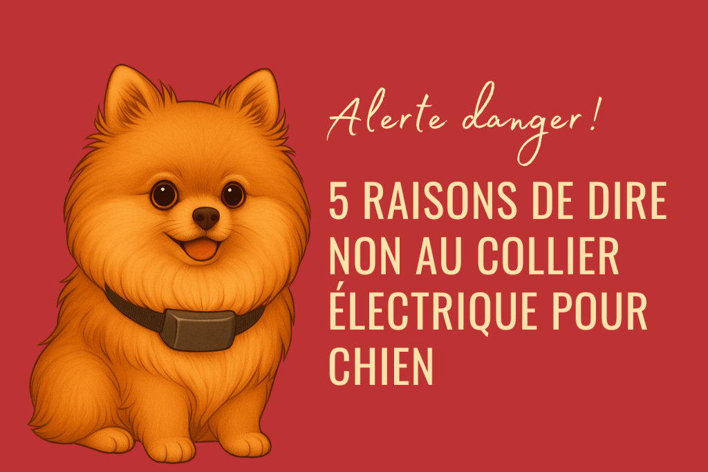 COLLIER ÉLECTRIQUE POUR CHIEN
