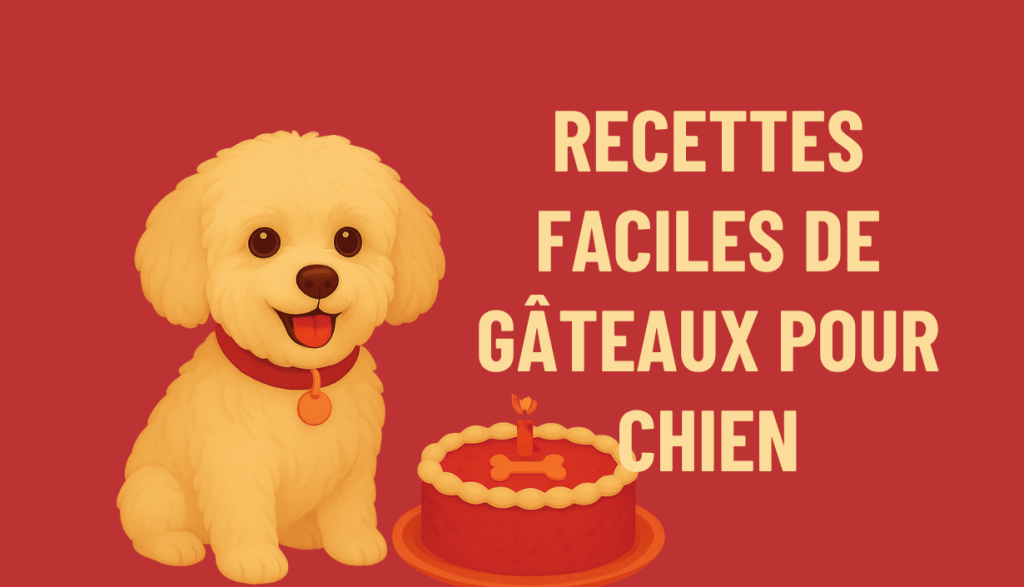 GÂTEAU POUR CHIEN