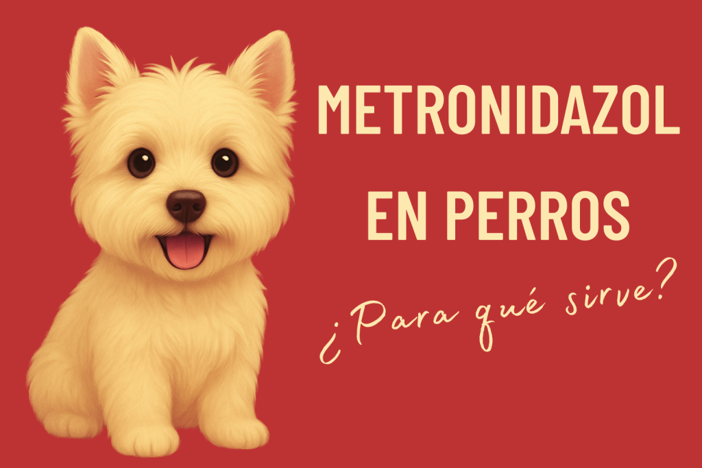 metronidazol en perros