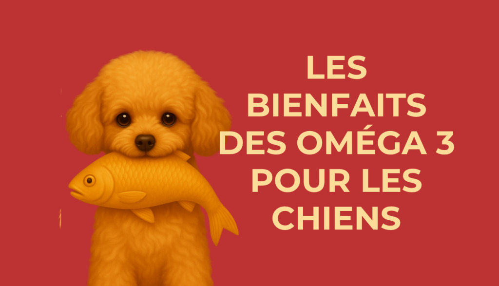 OMÉGA-3 POUR CHIEN