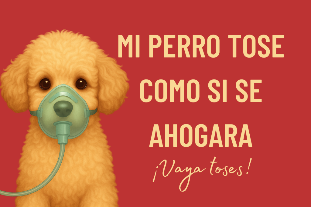 mi perro respira como si se ahogara
