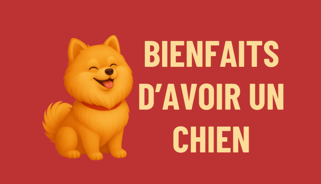 BIENFAITS D'AVOIR UN CHIEN