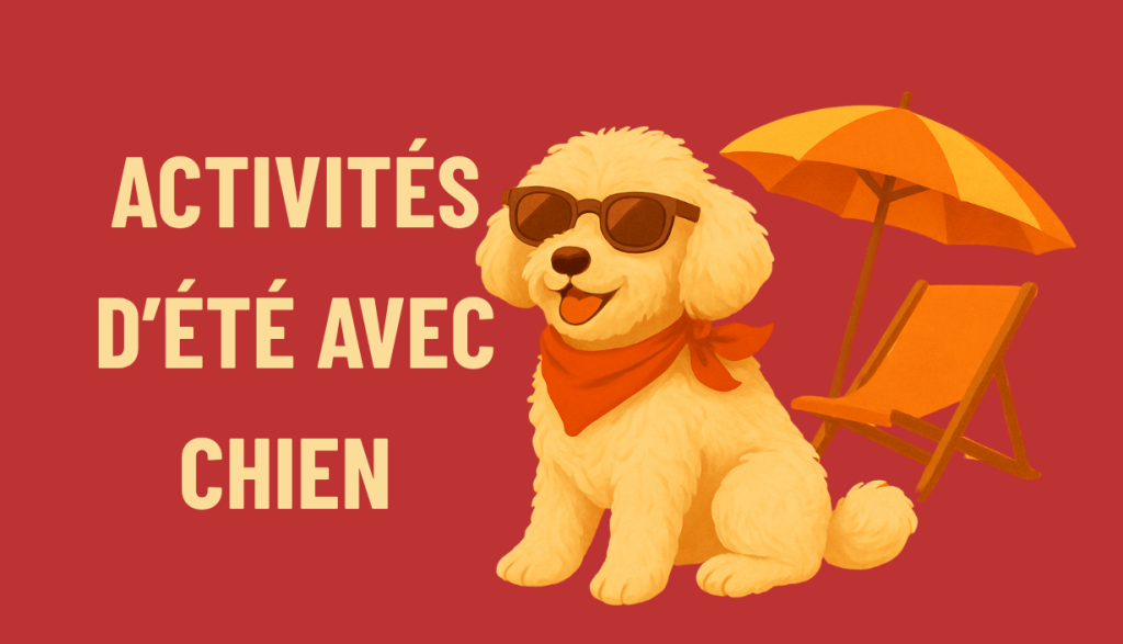 activites d'ete avec chien