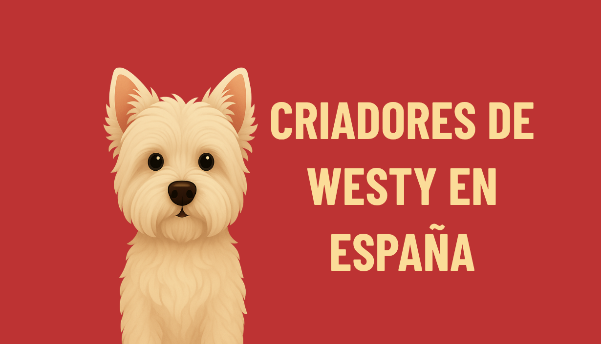 CRIADORES WESTY