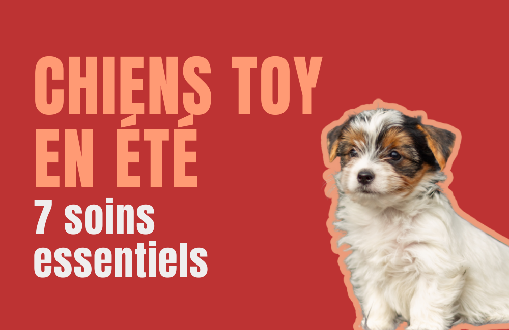 Coup de chaleur chien