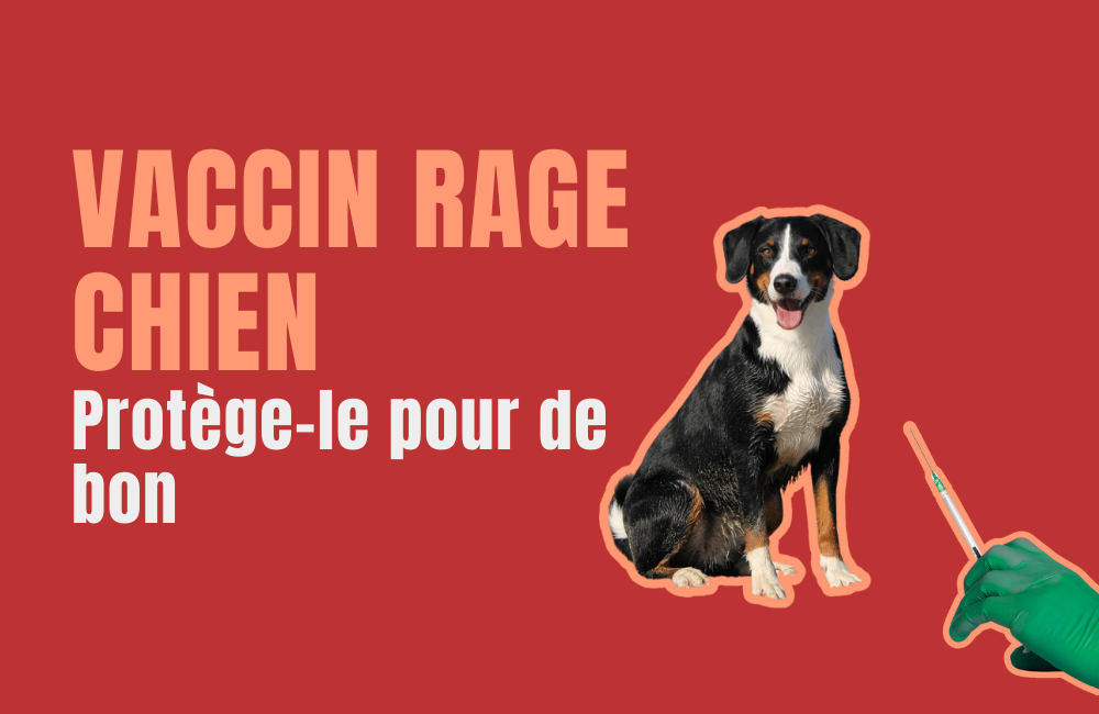 vaccin rage chien