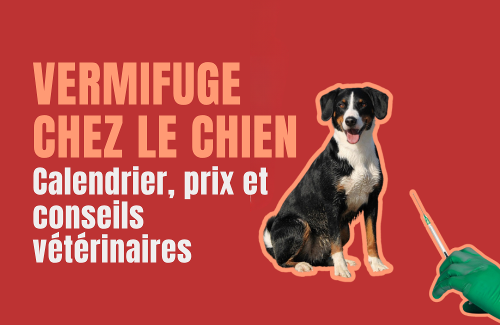 vermifuge chien