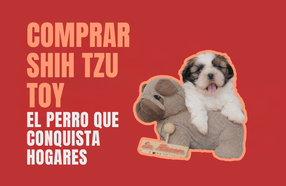 COMPRAR SHIH TZU