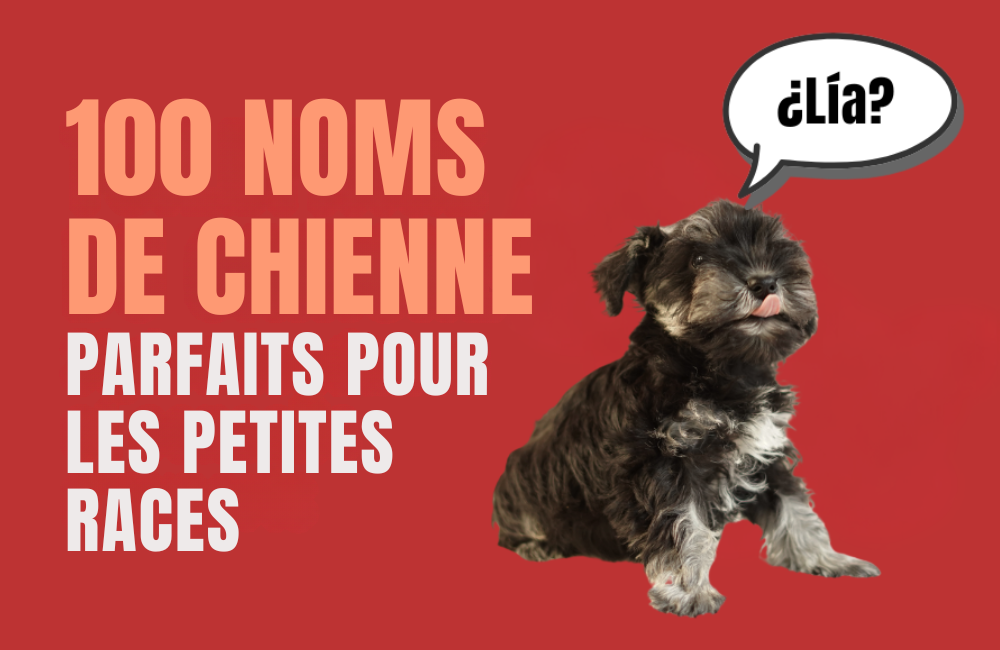 NOM DE CHIEN FEMELLE