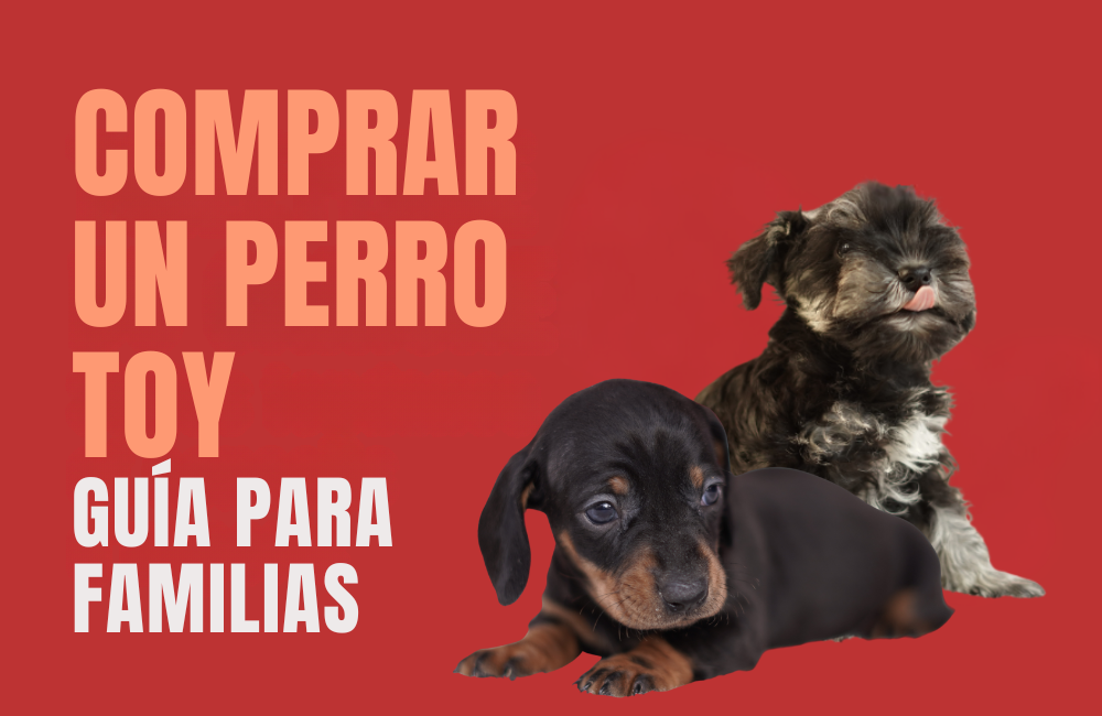 COMPRAR UN PERRO TOY