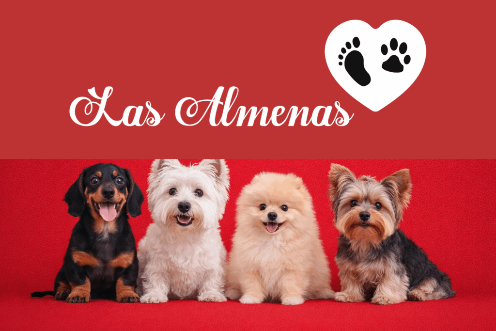 comunicado oficial criadero las almenas