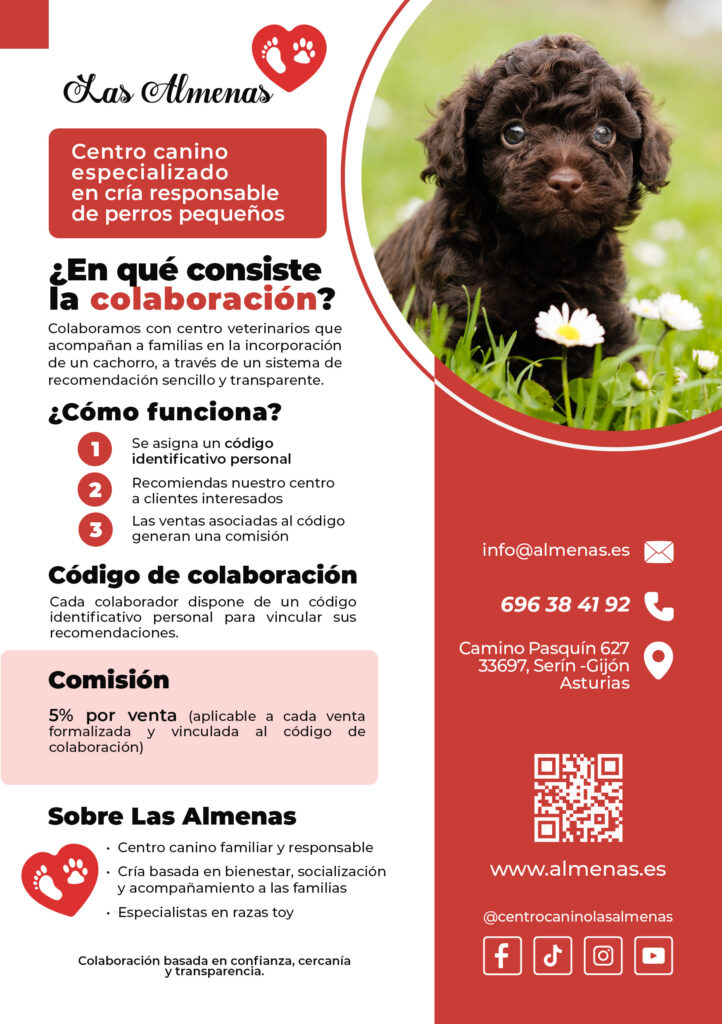 hazte colaborador y gana dinero