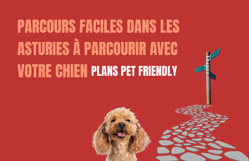 randonnées faciles dans les Asturies